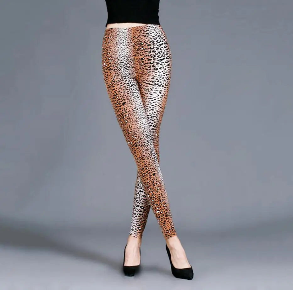 Tights Animal Print - XL